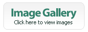 Image Gallery