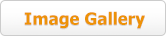 Image Gallery
