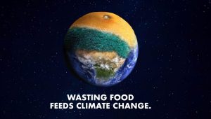 Wasting Food Feeds Climate Change